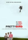Pretty Bird (2008).jpg
